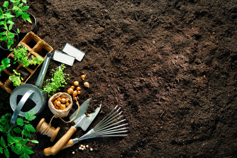 AdobeStock 257179730